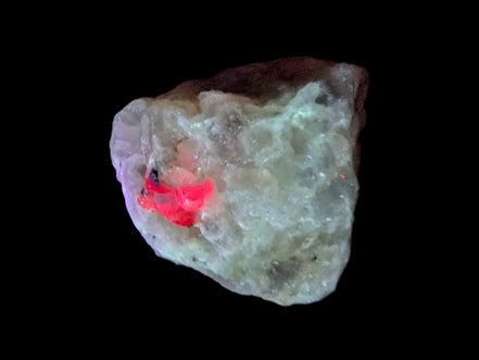 Ruby UV reactive with Phlogopite in Marble/Dolomite matrix 398.9ct 79.8g in UV light - Rocks and Things Store