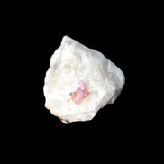Ruby UV reactive with Phlogopite in Marble/Dolomite matrix 398.9ct 79.8g in sunlight - Rocks and Things Store