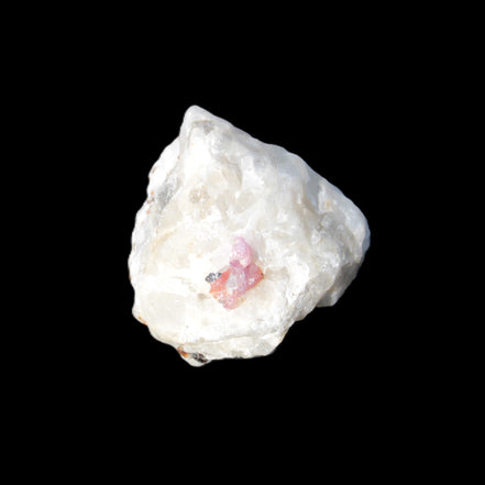 Ruby UV reactive with Phlogopite in Marble/Dolomite matrix 398.9ct 79.8g in sunlight - Rocks and Things Store