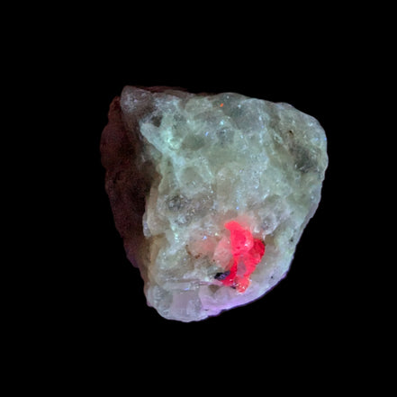 Ruby UV reactive with Phlogopite in Marble/Dolomite matrix 398.9ct 79.8g in UV light - Rocks and Things Store