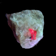 Ruby UV reactive with Phlogopite in Marble/Dolomite matrix 398.9ct 79.8g Rocks and Things