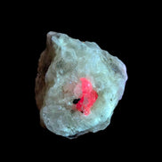 Ruby UV reactive with Phlogopite in Marble/Dolomite matrix 398.9ct 79.8g in UV light - Rocks and Things Store