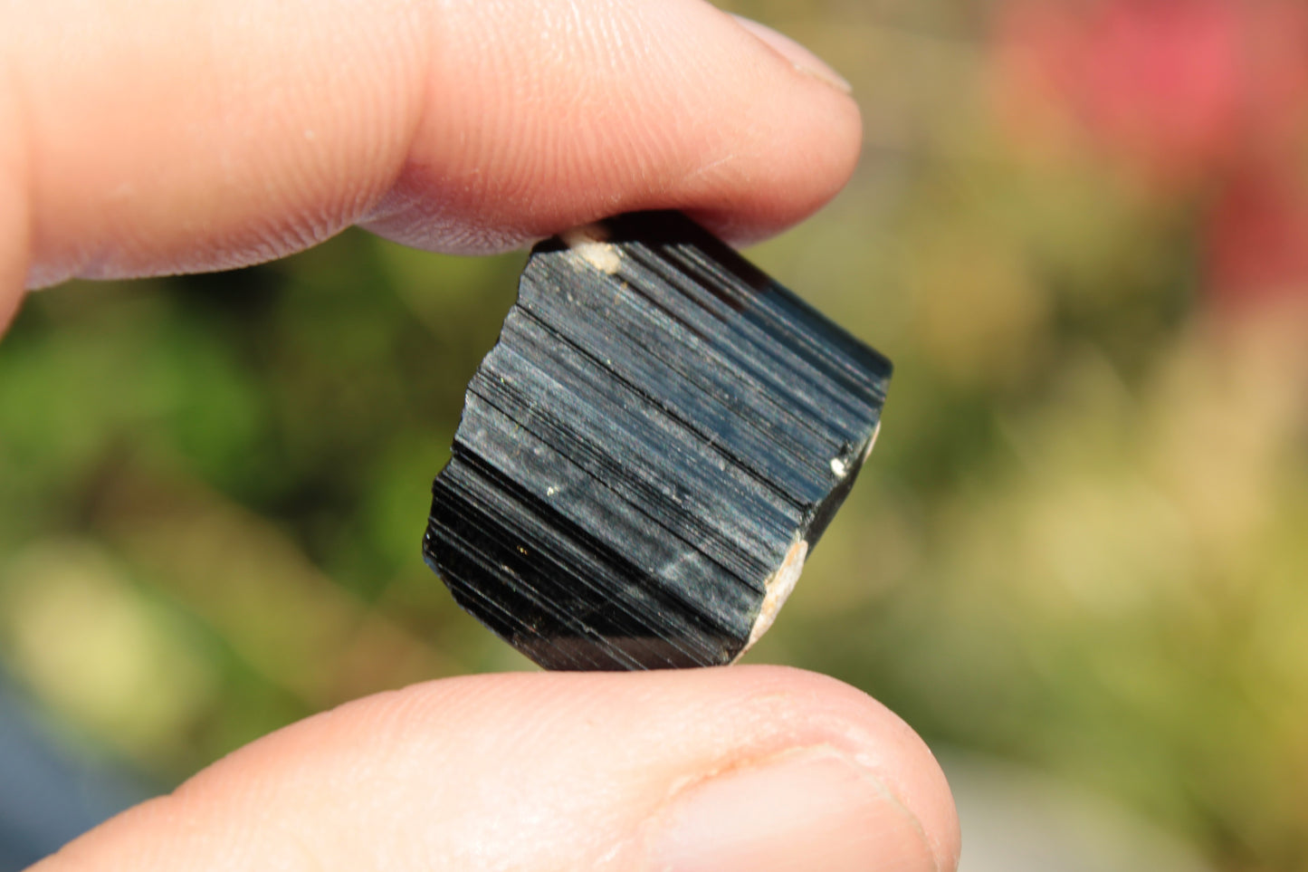 Rainbow Black Tourmaline crystal from Skardu, Pakistan 49.3ct 9.9g Rocks and Things