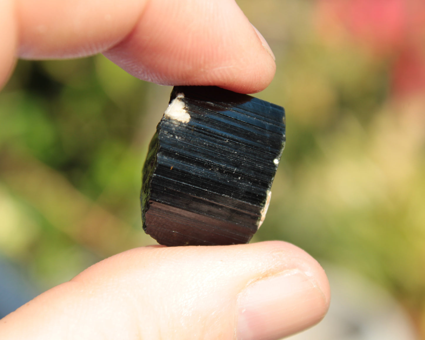 Rainbow Black Tourmaline crystal from Skardu, Pakistan 49.3ct 9.9g Rocks and Things