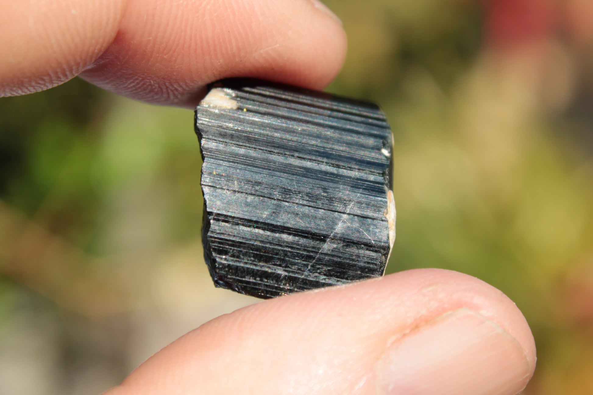 Rainbow Black Tourmaline crystal from Skardu, Pakistan 49.3ct 9.9g Rocks and Things