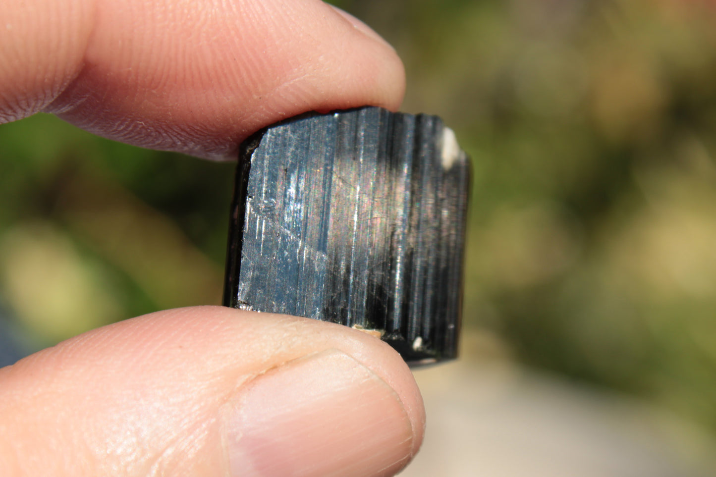 Rainbow Black Tourmaline crystal from Skardu, Pakistan 49.3ct 9.9g Rocks and Things