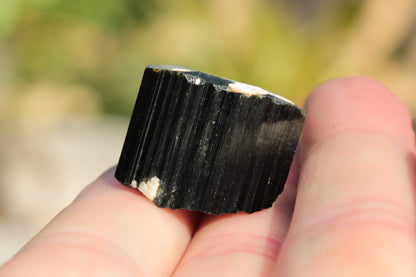 Rainbow Black Tourmaline crystal from Skardu, Pakistan 49.3ct 9.9g Rocks and Things