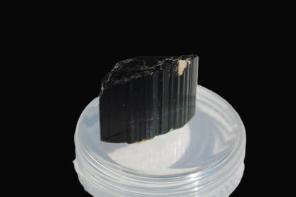 Rainbow Black Tourmaline crystal from Skardu, Pakistan 49.3ct 9.9g Rocks and Things