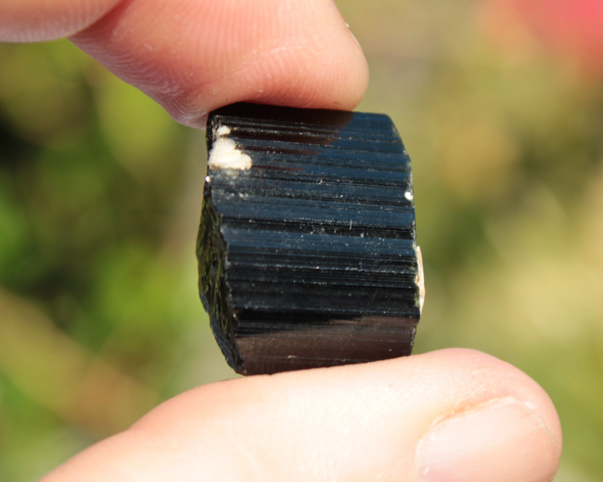 Rainbow Black Tourmaline crystal from Skardu, Pakistan 49.3ct 9.9g Rocks and Things