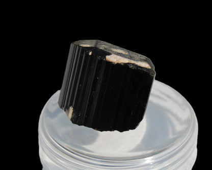 Rainbow Black Tourmaline crystal from Skardu, Pakistan 49.3ct 9.9g Rocks and Things