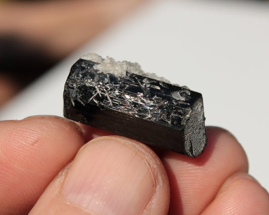 Black Tourmaline with Mica from Skardu, Pakistan 39.2ct 7.9g Rocks and Things