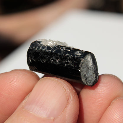 Black Tourmaline with Mica from Skardu, Pakistan 39.2ct 7.9g Rocks and Things