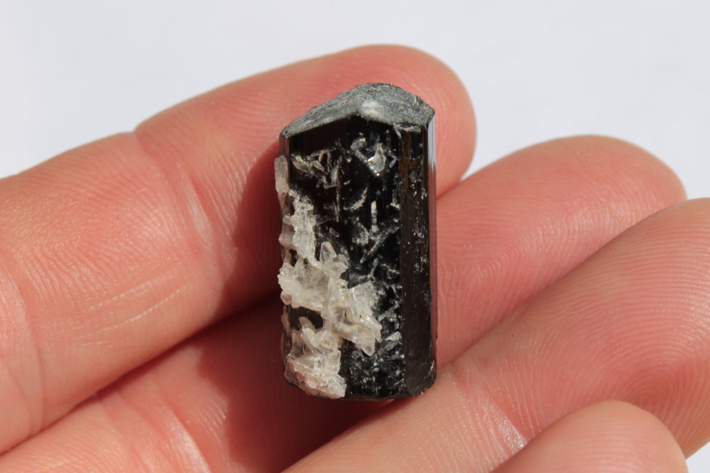 Black Tourmaline with Mica from Skardu, Pakistan 39.2ct 7.9g Rocks and Things