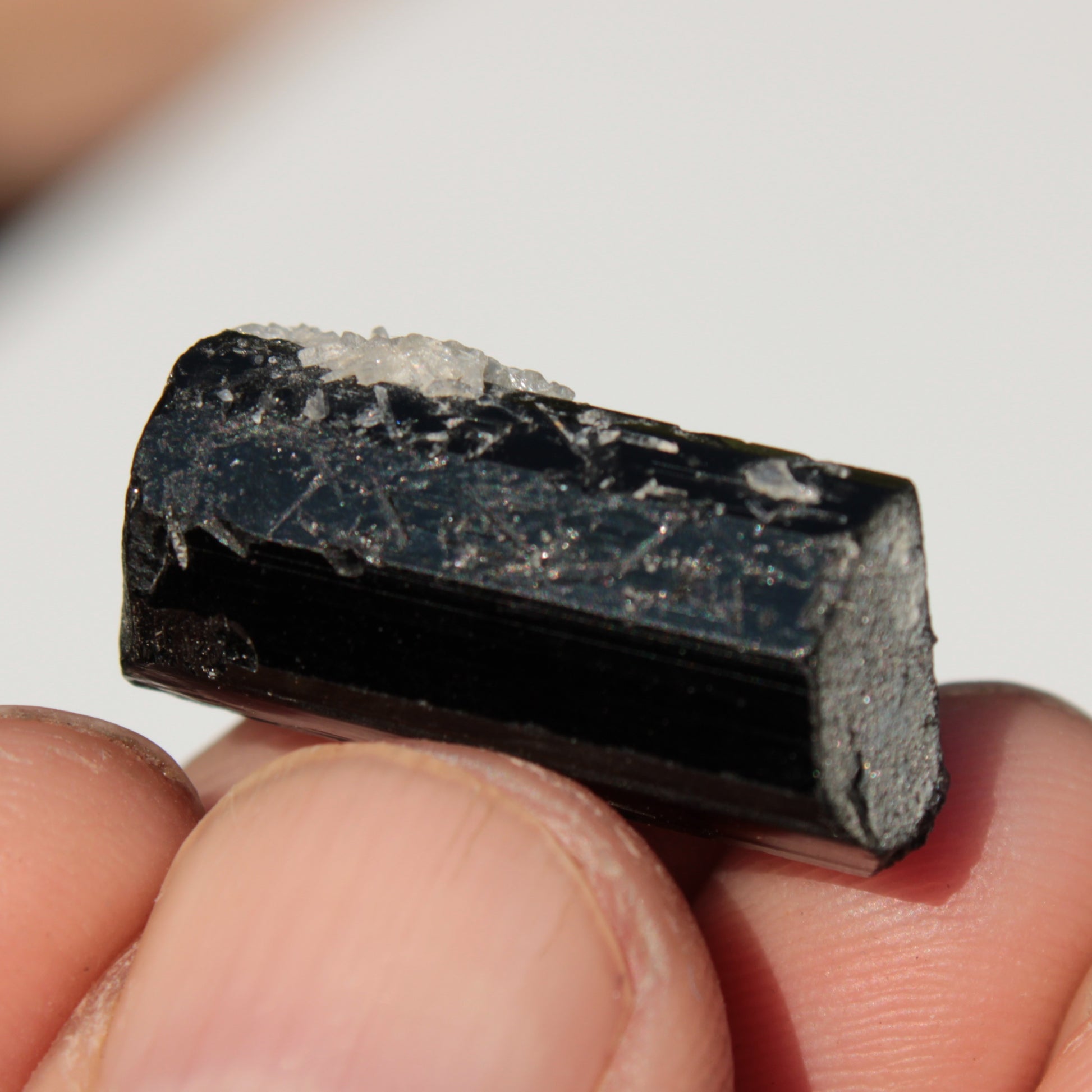 Black Tourmaline with Mica from Skardu, Pakistan 39.2ct 7.9g Rocks and Things