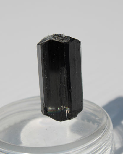 Black Tourmaline with Mica from Skardu, Pakistan 39.2ct 7.9g Rocks and Things