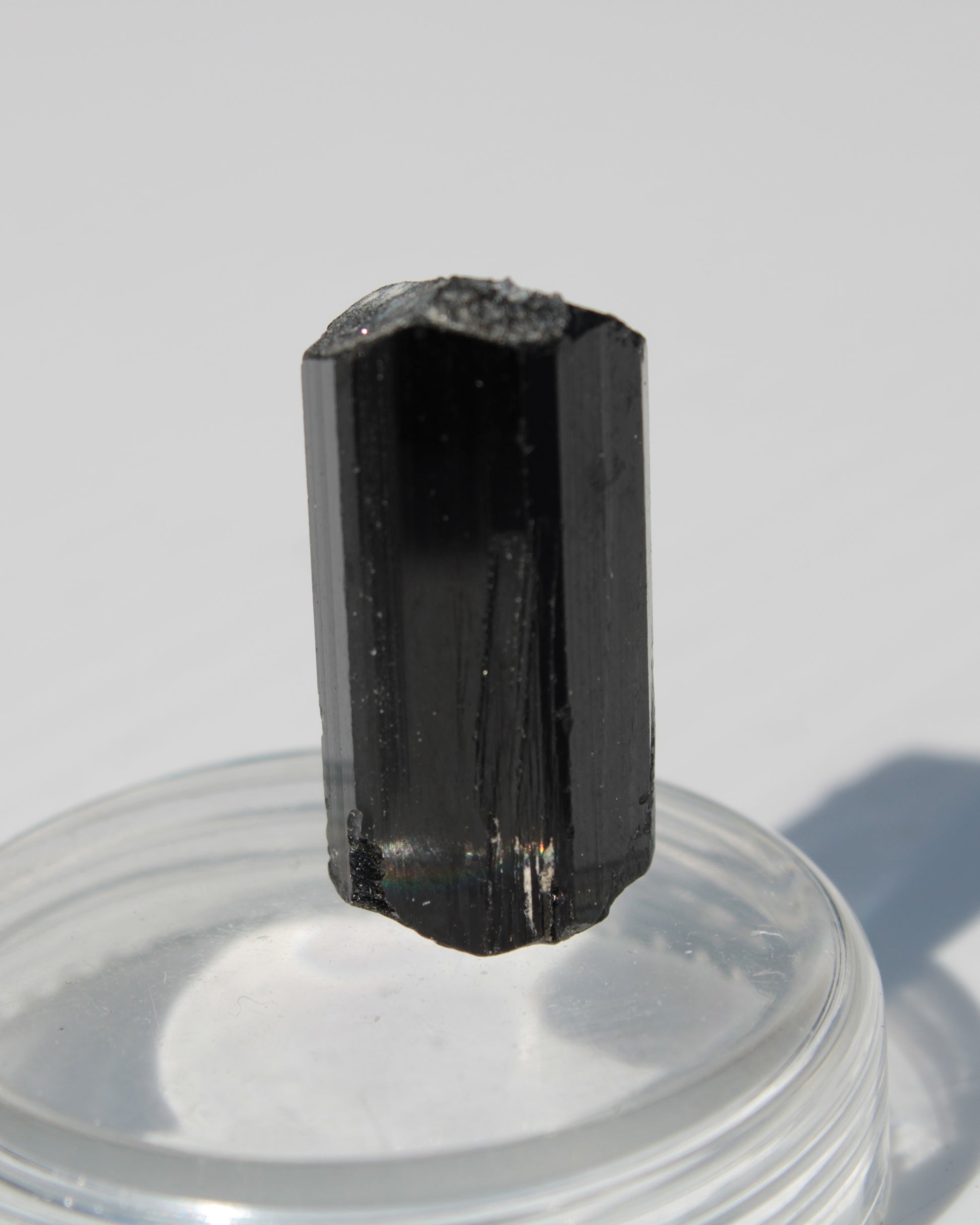 Black Tourmaline with Mica from Skardu, Pakistan 39.2ct 7.9g Rocks and Things