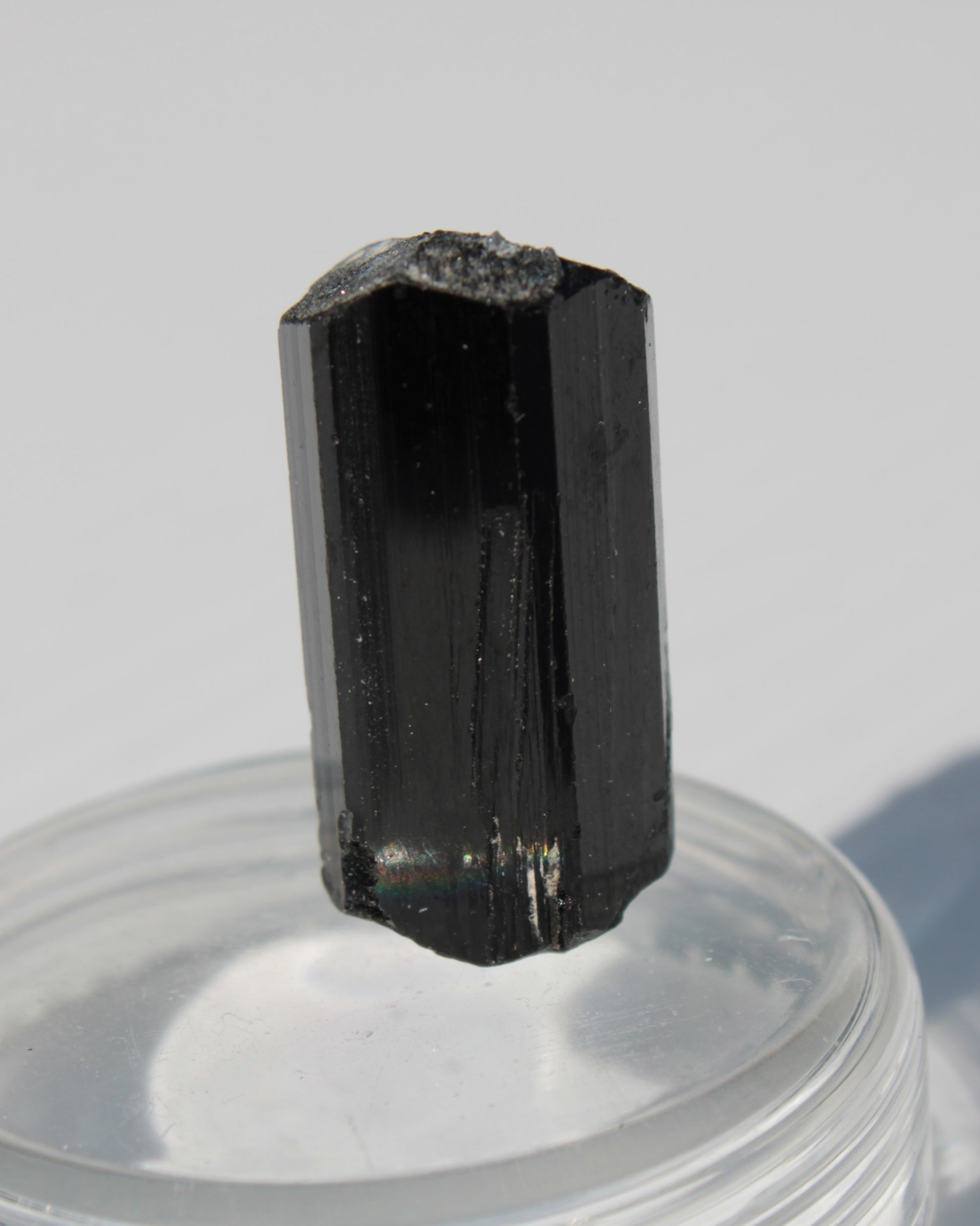 Black Tourmaline with Mica from Skardu, Pakistan 39.2ct 7.9g Rocks and Things