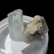 Terminated Aquamarine crystal on matrix from Afghanistan 7.8g Rocks and Things