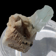 Terminated Aquamarine crystal on matrix from Afghanistan 7.8g Rocks and Things