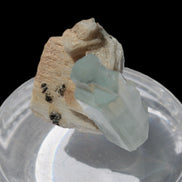 Terminated Aquamarine crystal on matrix from Afghanistan 7.8g Rocks and Things