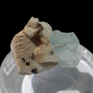 Terminated Aquamarine crystal on matrix from Afghanistan 7.8g Rocks and Things