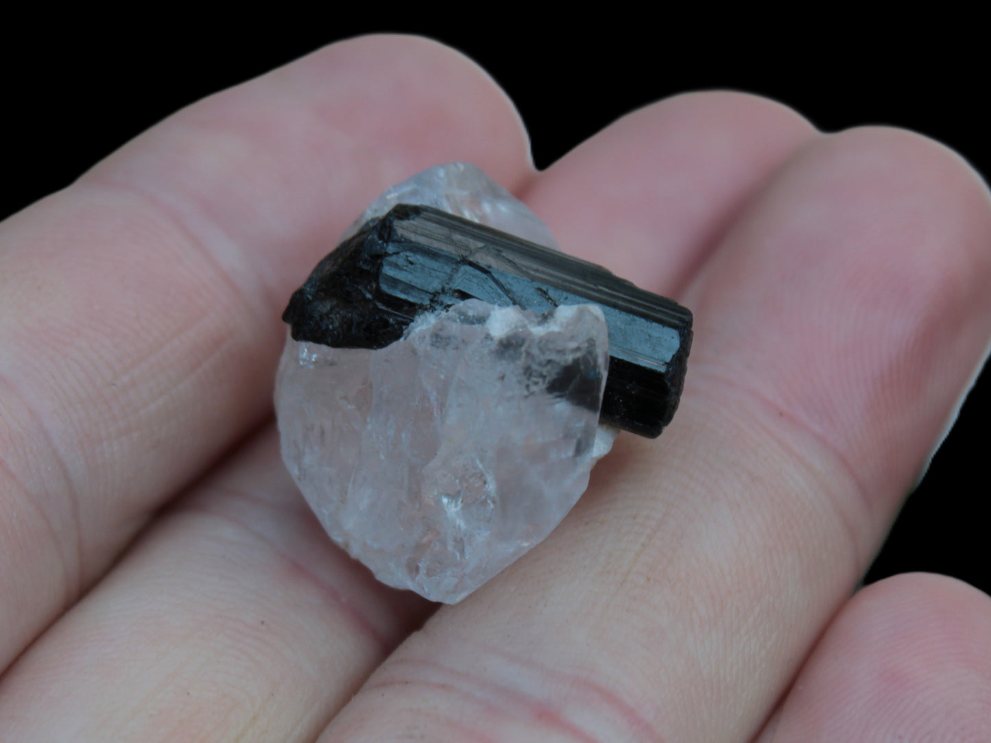 Smoky Quartz double-terminated twinned rainbow crystal cradling Black Tourmaline crystal 37.6ct 7.5g Rocks and Things