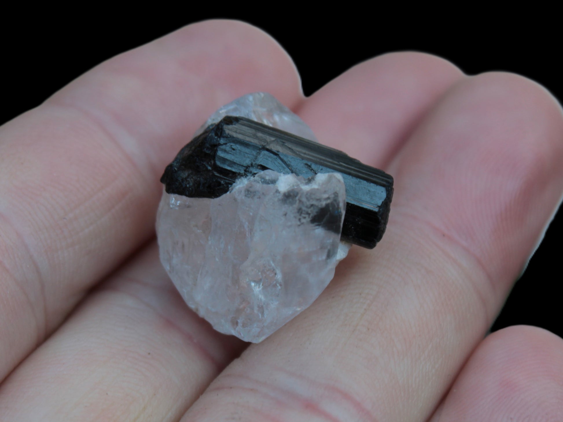 Smoky Quartz double-terminated twinned rainbow crystal cradling Black Tourmaline crystal 37.6ct 7.5g Rocks and Things