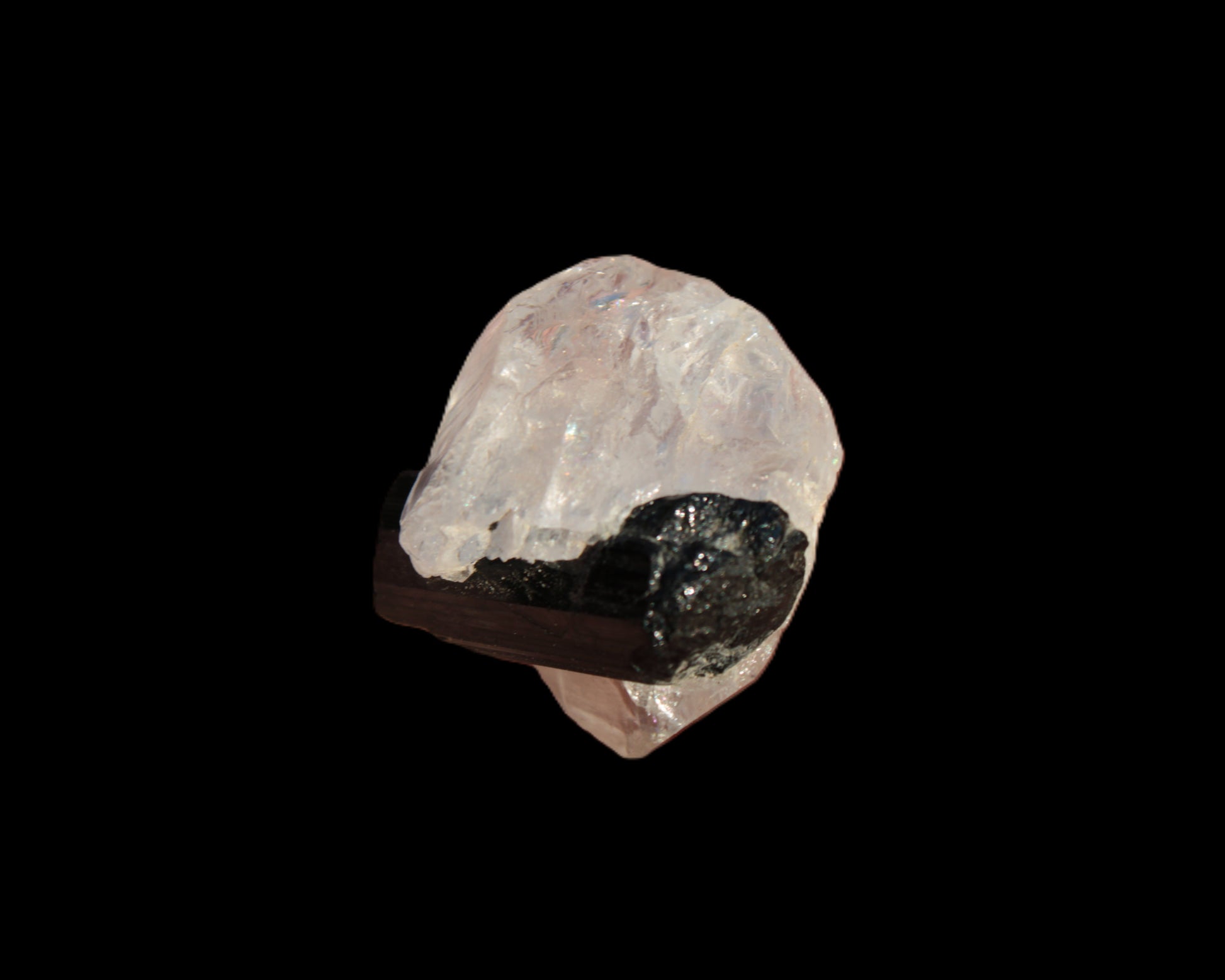 Smoky Quartz double-terminated twinned rainbow crystal cradling Black Tourmaline crystal 37.6ct 7.5g Rocks and Things