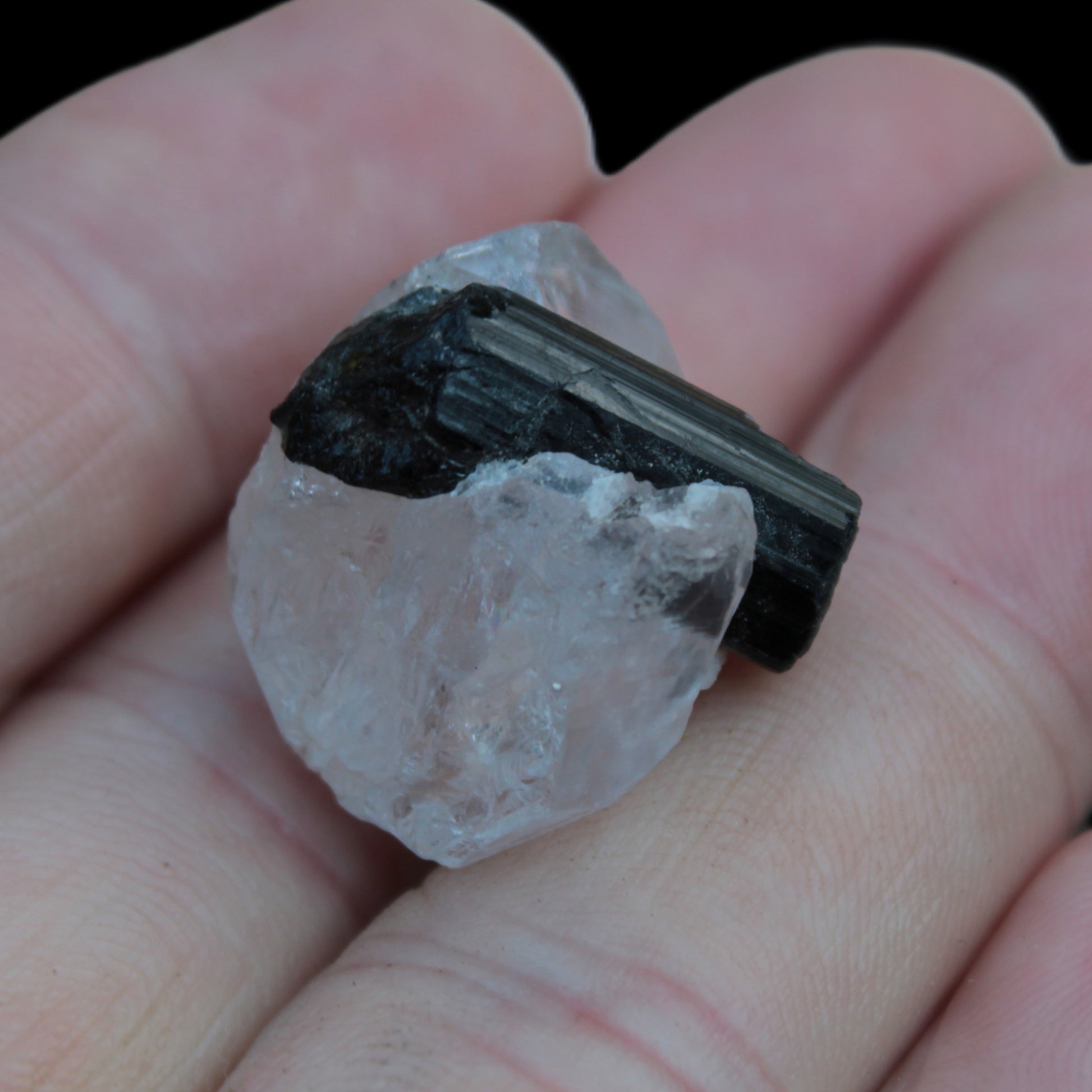 Smoky Quartz double-terminated twinned rainbow crystal cradling Black Tourmaline crystal 37.6ct 7.5g Rocks and Things