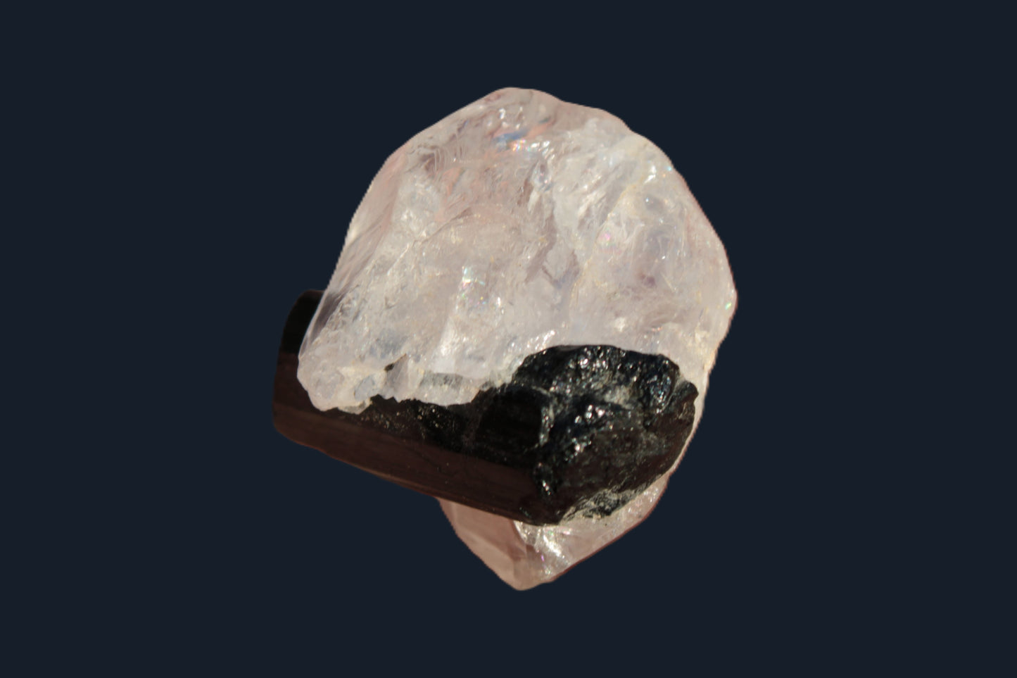 Smoky Quartz double-terminated twinned rainbow crystal cradling Black Tourmaline crystal 37.6ct 7.5g Rocks and Things