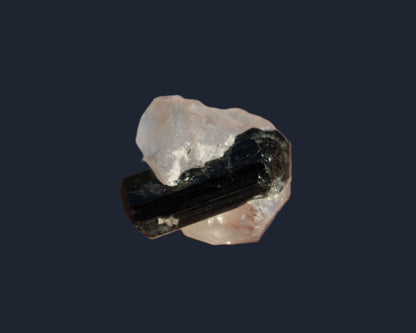 Smoky Quartz double-terminated twinned rainbow crystal cradling Black Tourmaline crystal 37.6ct 7.5g Rocks and Things