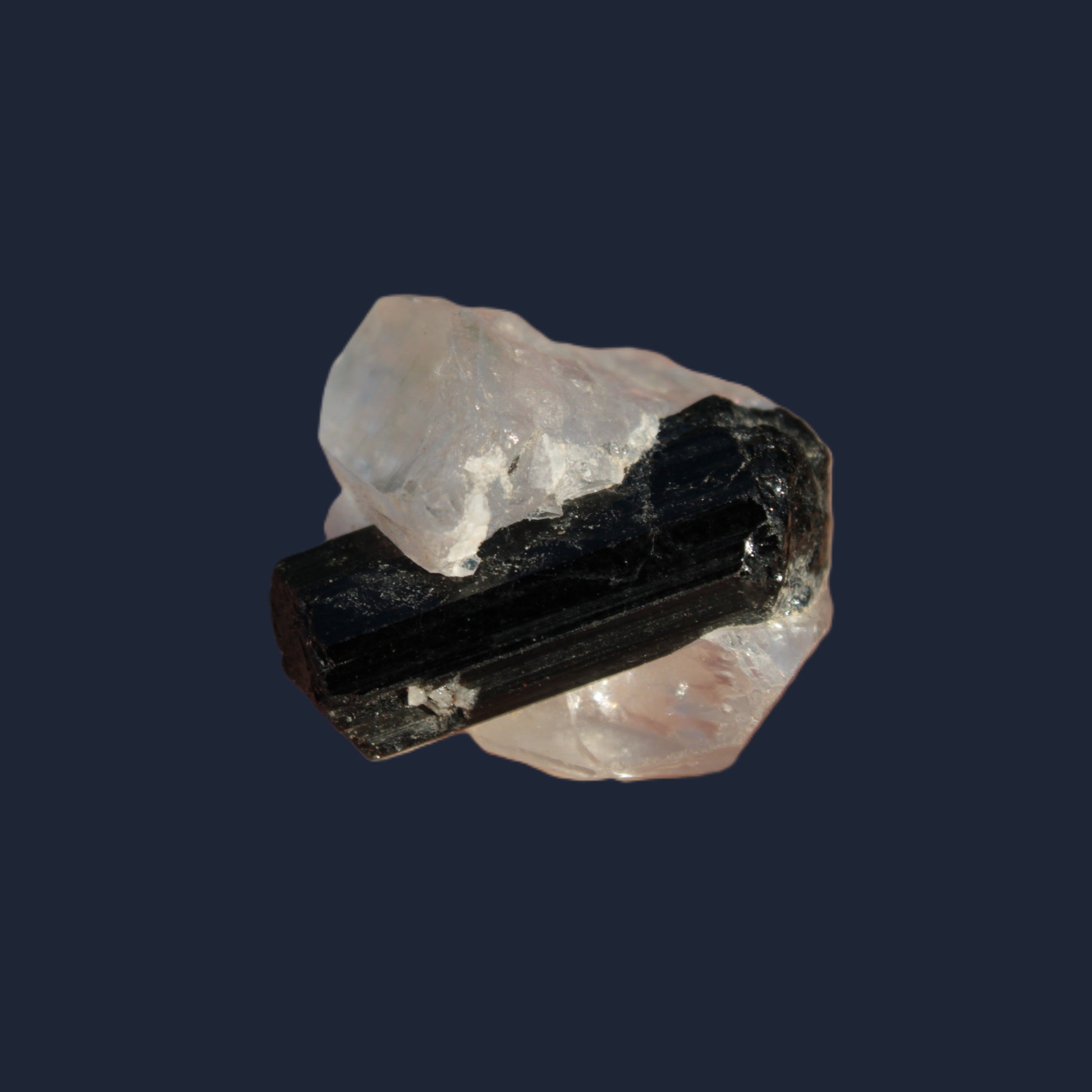 Smoky Quartz double-terminated twinned rainbow crystal cradling Black Tourmaline crystal 37.6ct 7.5g Rocks and Things