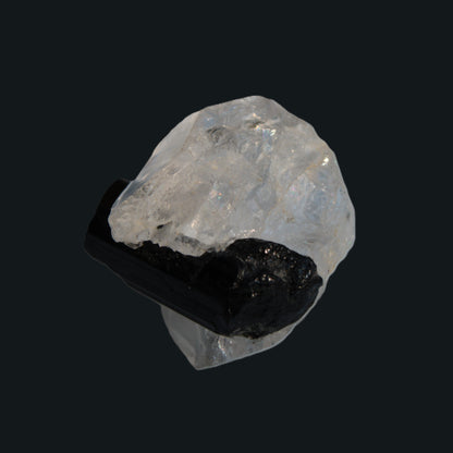 Smoky Quartz double-terminated twinned rainbow crystal cradling Black Tourmaline crystal 37.6ct 7.5g Rocks and Things