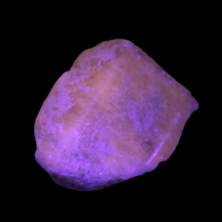 Yellow crystal Apatite with pink faces UV reactive from Afghanistan 115.6ct 23.1g in UV light - Rocks and Things Store