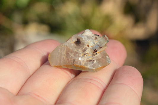 Lemurian elestial Smoky Quartz cluster with Aquamarine from Afghanistan 44.4ct 8.9g Rocks and Things