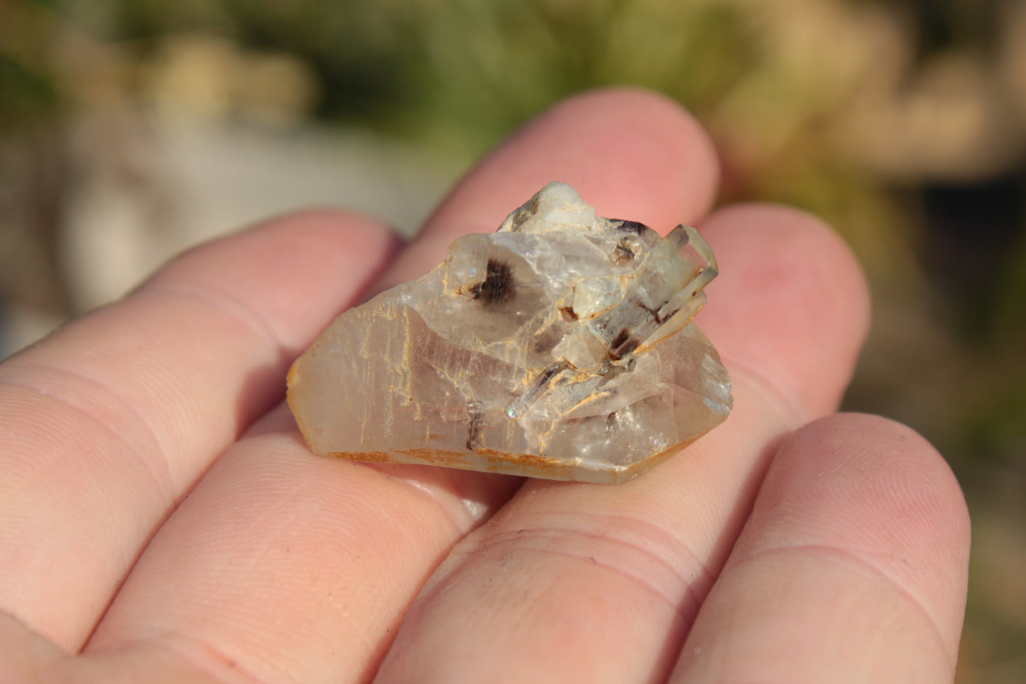 Lemurian elestial Smoky Quartz cluster with Aquamarine from Afghanistan 44.4ct 8.9g Rocks and Things