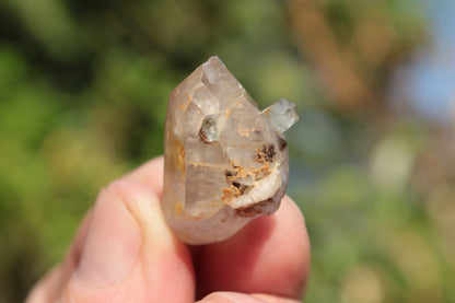 Lemurian elestial Smoky Quartz cluster with Aquamarine from Afghanistan 44.4ct 8.9g Rocks and Things