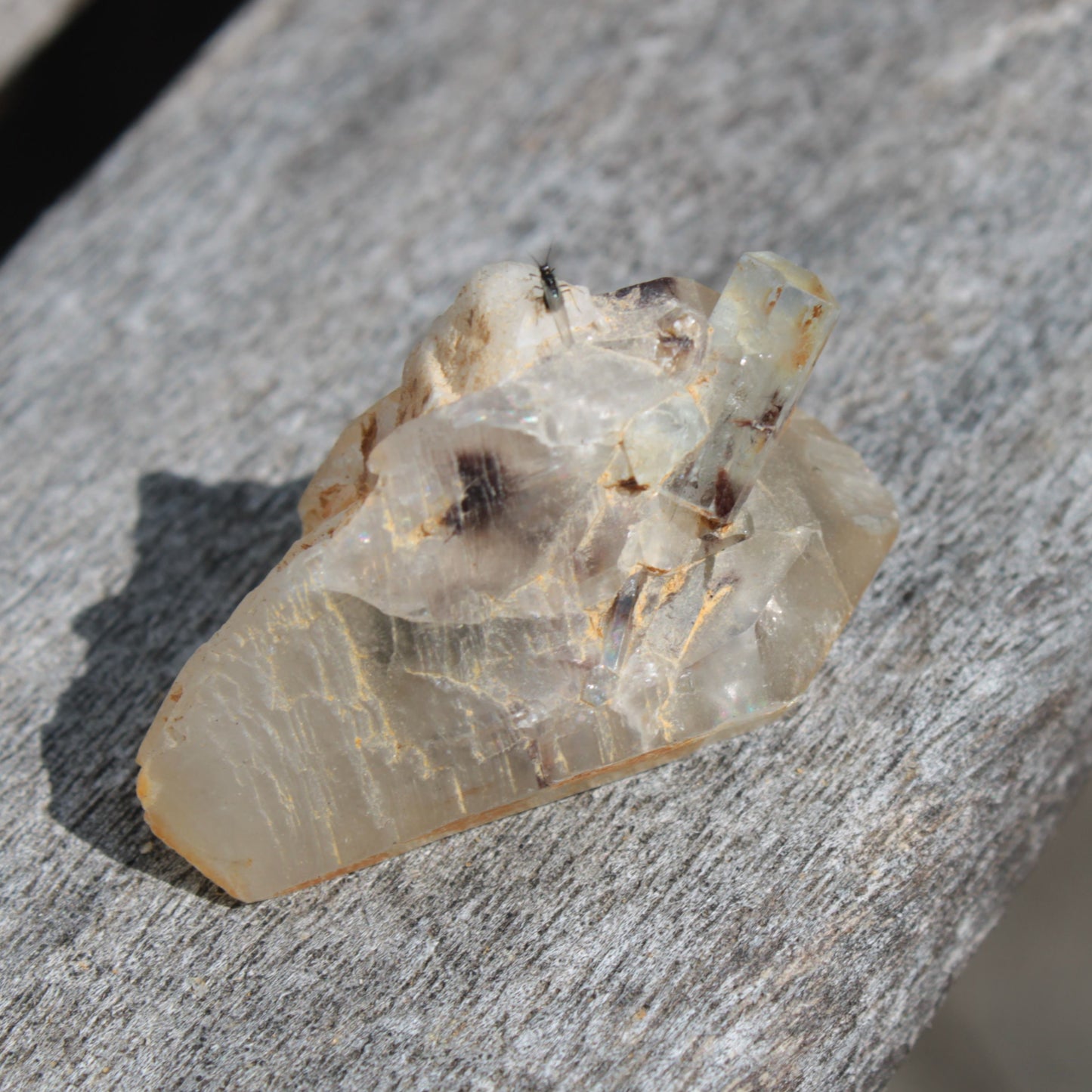 Lemurian elestial Smoky Quartz cluster with Aquamarine from Afghanistan 44.4ct 8.9g Rocks and Things