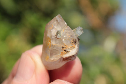 Lemurian elestial Smoky Quartz cluster with Aquamarine from Afghanistan 44.4ct 8.9g Rocks and Things