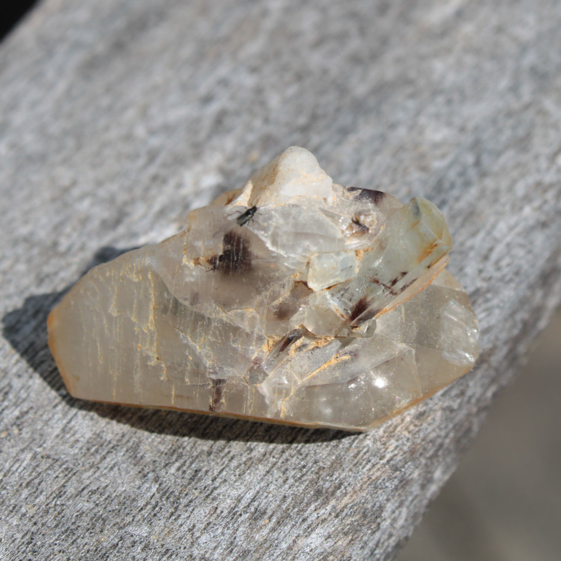 Lemurian elestial Smoky Quartz cluster with Aquamarine from Afghanistan 44.4ct 8.9g Rocks and Things