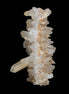 Double-sided Quartz cluster from Skardu, Pakistan 273.5ct 54.7g in sunshine - Rocks and Things Store