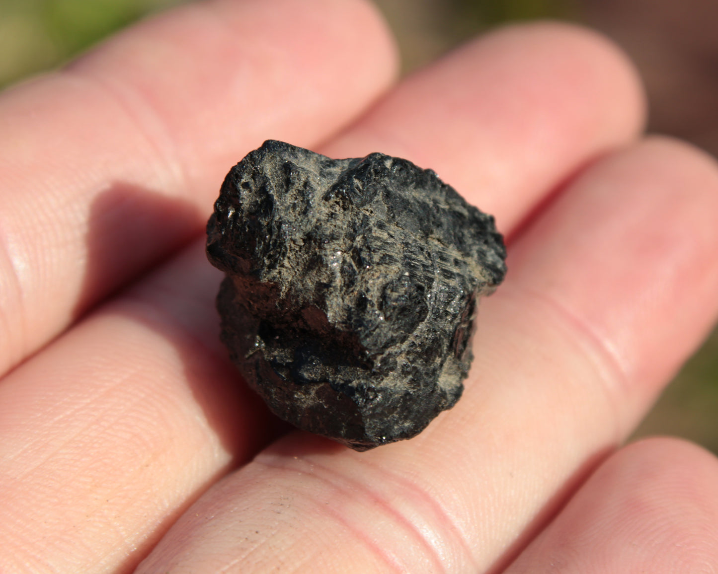 Dark Green Tourmaline rough crystal from Afghanistan 52ct 10.4g Rocks and Things