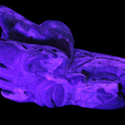 Caribbean Calcite hand-carved dragon's head 675g