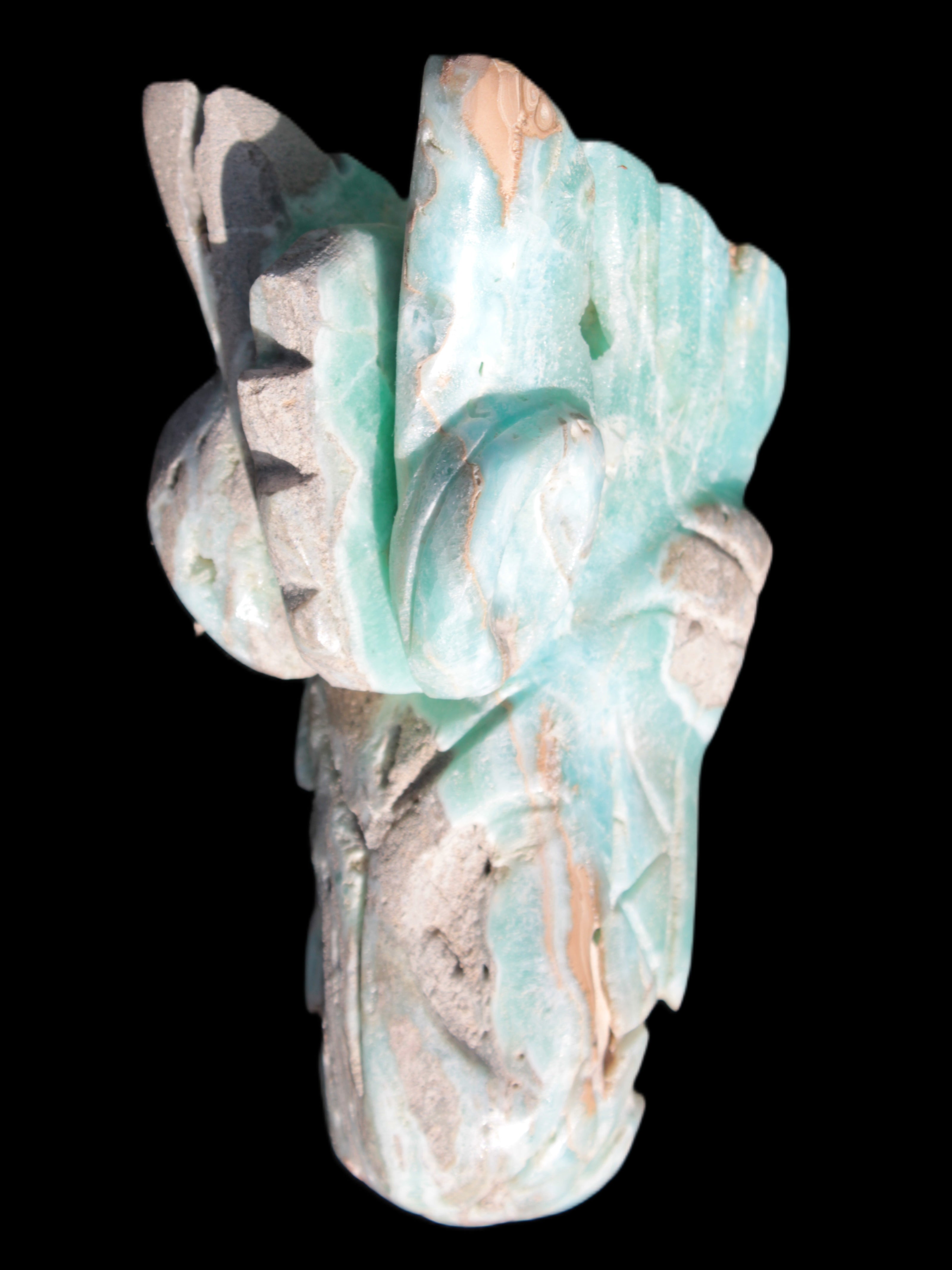 Caribbean Calcite hand-carved dragon's head 675g