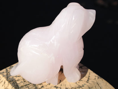 Mangano Calcite hand-carved sitting dog 604g Rocks and Things