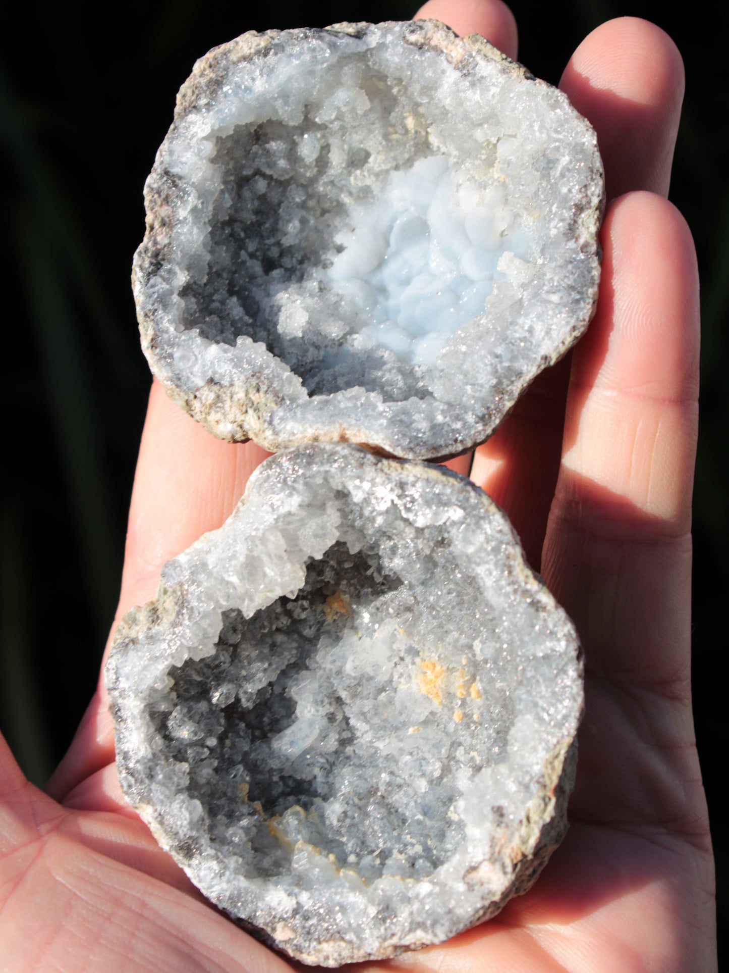 Druzy and botryoidal Chalcedony-Quartz geode 149g Rocks and Things