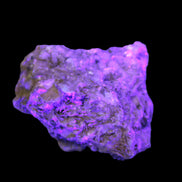 Pink Topaz with Green Tourmaline in Muscovite/Feldspar matrix 99.5g in UV light  - Rocks and Things Store