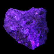 Pink Topaz with Green Tourmaline in Muscovite/Feldspar matrix 99.5g in UV light  - Rocks and Things Store