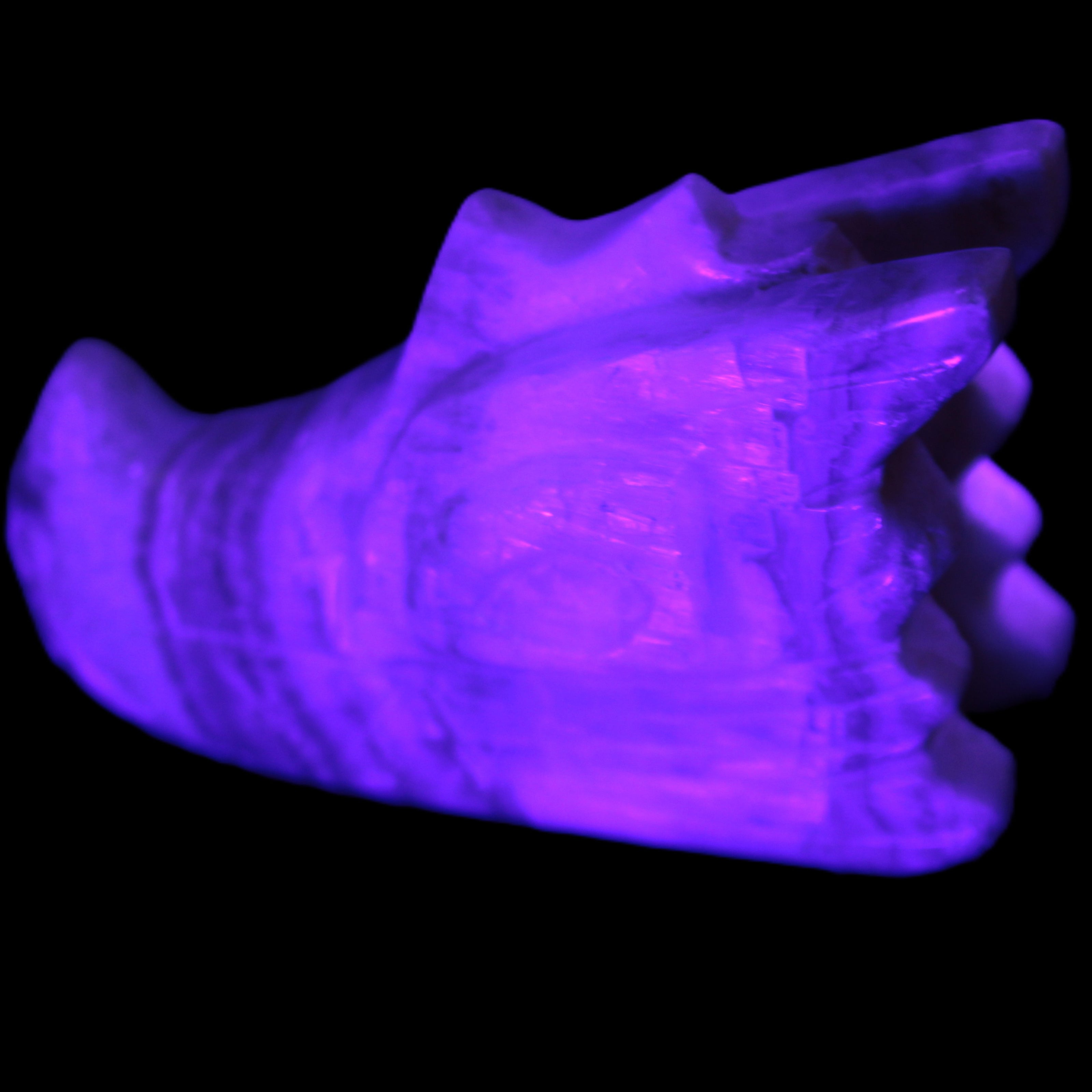 Caribbean Calcite hand-carved dragon's head 221.7g