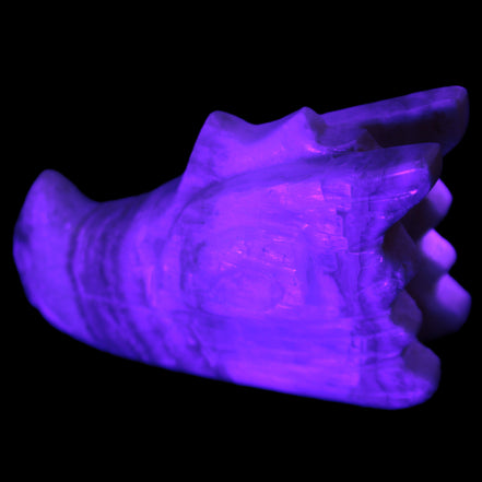 Caribbean Calcite hand-carved dragon's head 221.7g